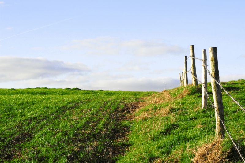 Field Lines Replacement