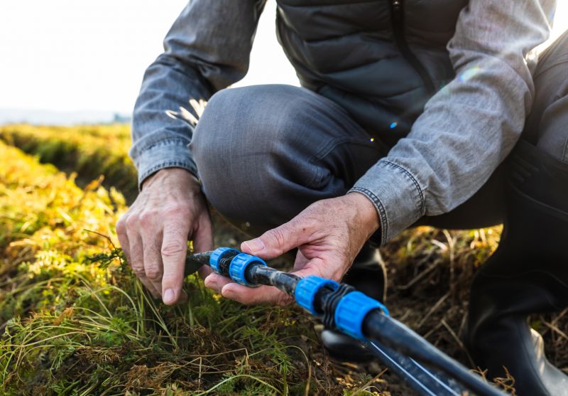 Replacement in Progress